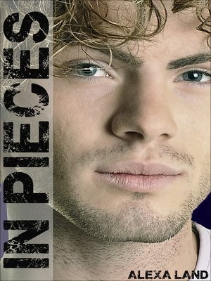 cover image of In Pieces